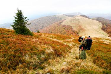 Similar image 1214882