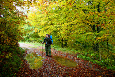 Similar image 1214883