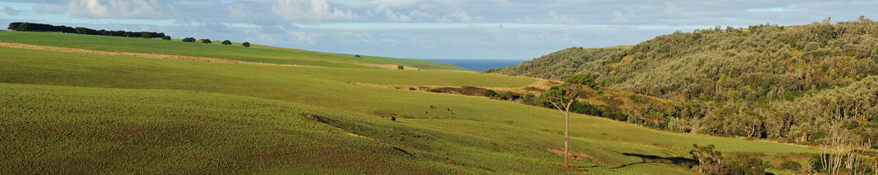 Similar image 1214904