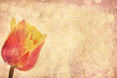 Similar image 1214955