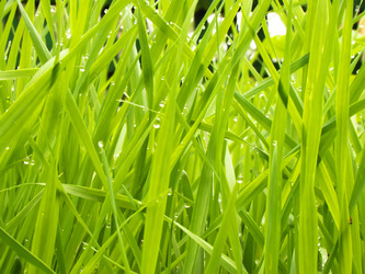 Similar image 1214958