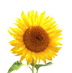 Similar image 1214964