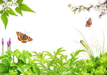 Similar image 1214973