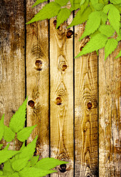 Similar image 1214991