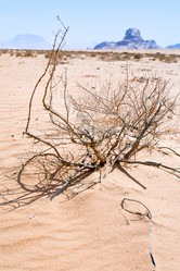 Similar image 1215106