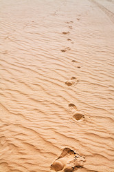 Similar image 1215115