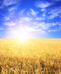 Similar image 1215124