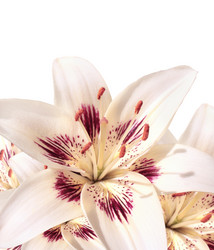 Similar image 1215126