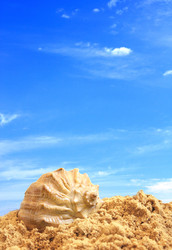 Similar image 1215127