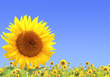 Similar image 1215128