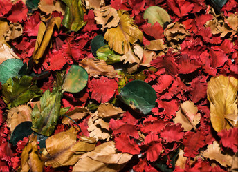 Similar image 1215132