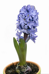 Similar image 1215133