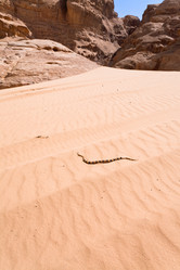 Similar image 1215142