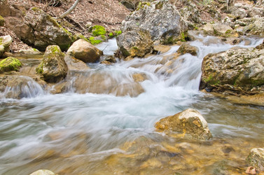 Similar image 1215205