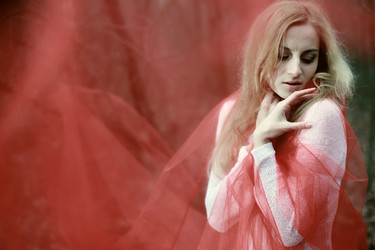 Similar image 1215259