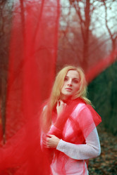 Similar image 1215291