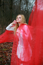 Similar image 1215293