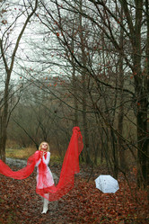 Similar image 1215295