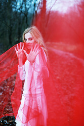 Similar image 1215329