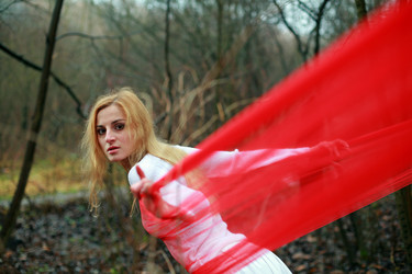 Similar image 1215353