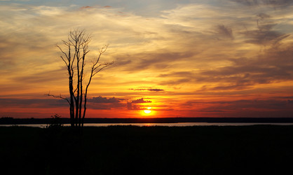 Similar image 1215389