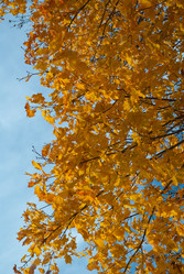 Similar image 1215393