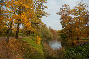 Similar image 1215395