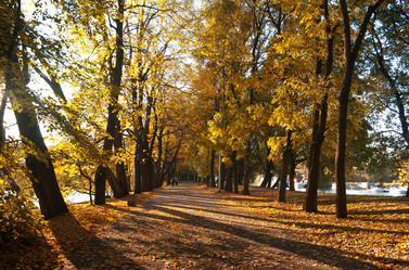 Similar image 1215397