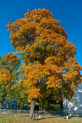 Similar image 1215399