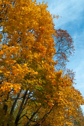 Similar image 1215403