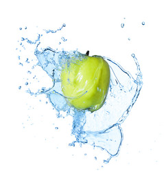 Similar image 1215404