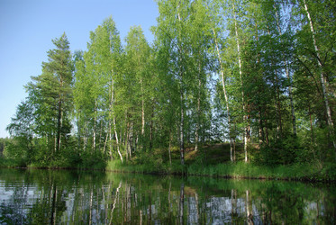 Similar image 1215410