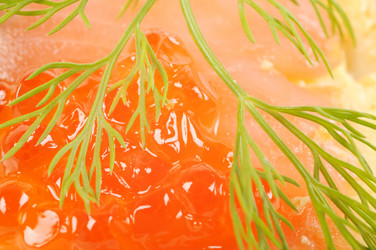 Similar image 1215521