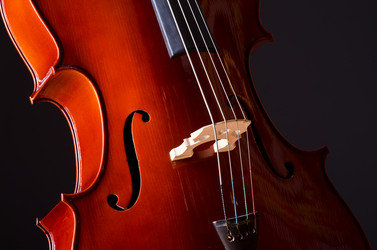 Similar image 1215645