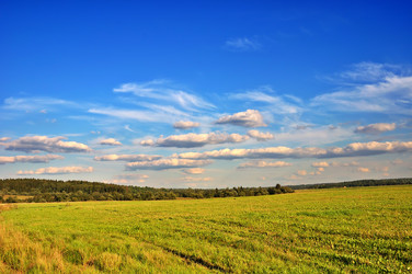 Similar image 1215655