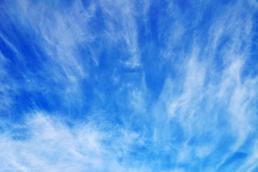 Similar image 1215656