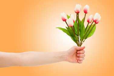 Similar image 1215718