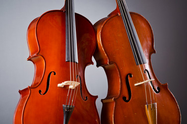 Similar image 1215726