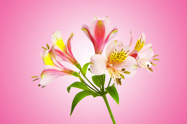 Similar image 1215858