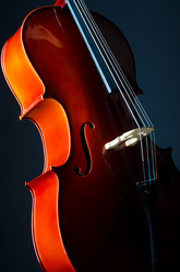 Similar image 1216045