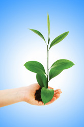 Similar image 1216179