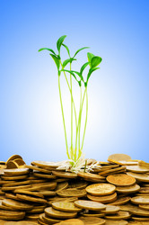 Similar image 1216347