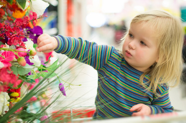 Similar image 1216705