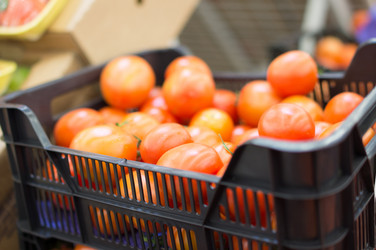 Similar image 1216780