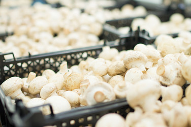 Similar image 1216783