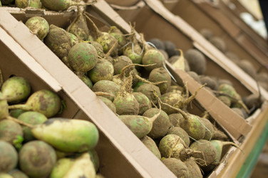 Similar image 1216789