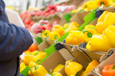 Similar image 1216796