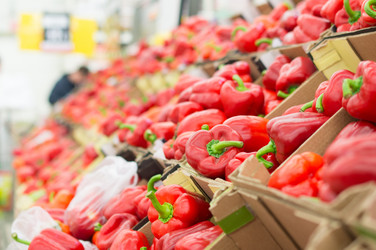 Similar image 1216797