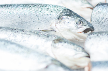 Similar image 1216862