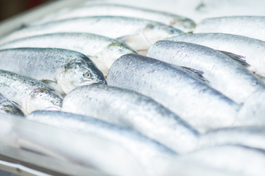 Similar image 1216863